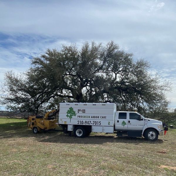 Website-removal-progreen-truck-chipper-white Progreen white truck with a chipper trailing behind it.
